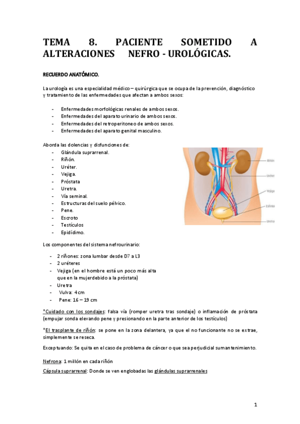 Miniatura del documento Tema-8.pdf