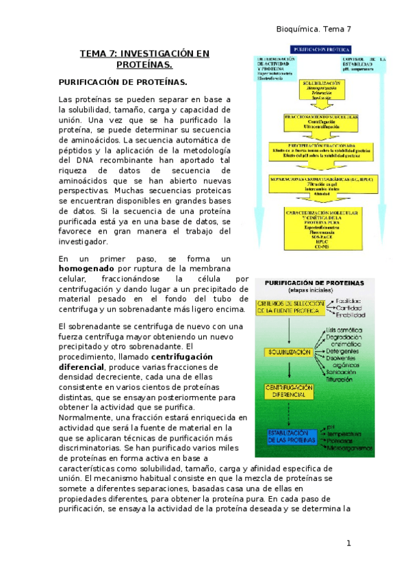Miniatura del documento TEMA 7.docx