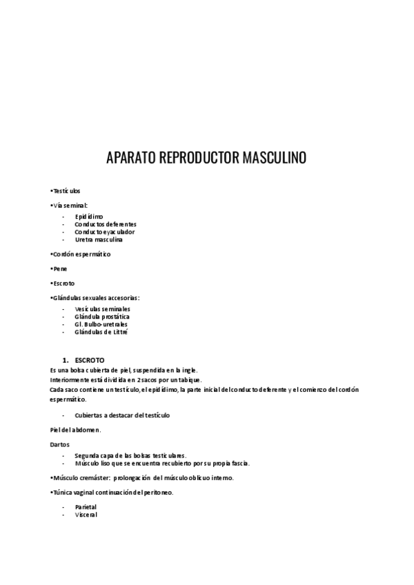 Miniatura del documento Aparato-reproductor-masculino.pdf