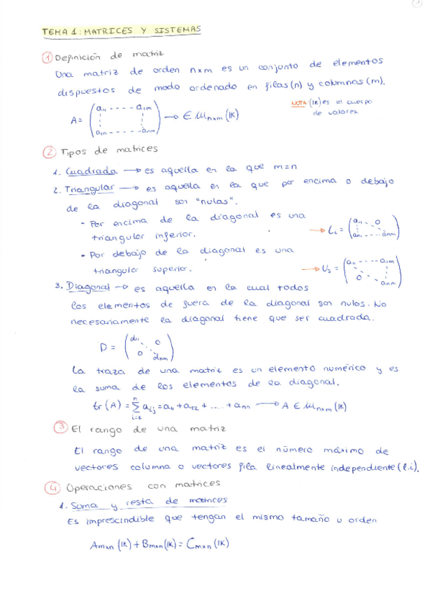 Miniatura del documento TEMA-1-MATRICES.pdf