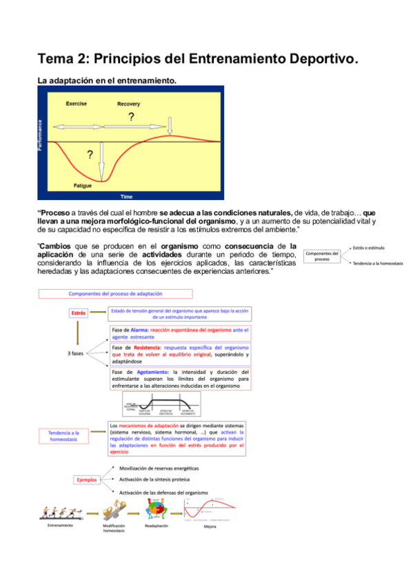 Miniatura del documento T2-METODOLOGIA.pdf