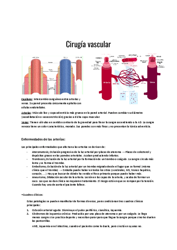 Miniatura del documento Cirugia-vascular.pdf