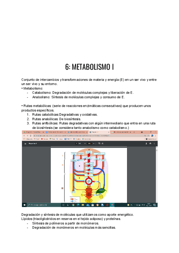 Miniatura del documento Metabolismo-I.pdf
