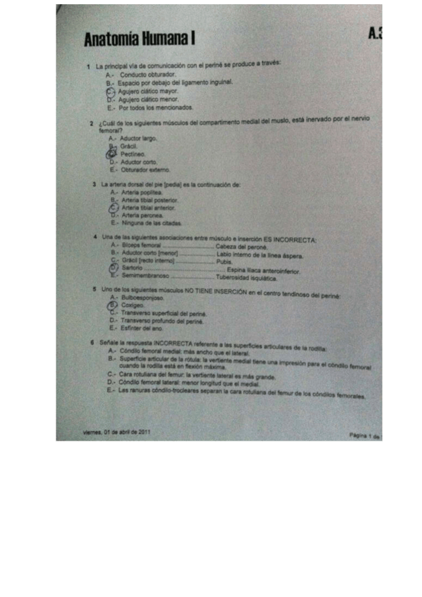 Miniatura del documento foto-4-parcial-anatomia-.pdf