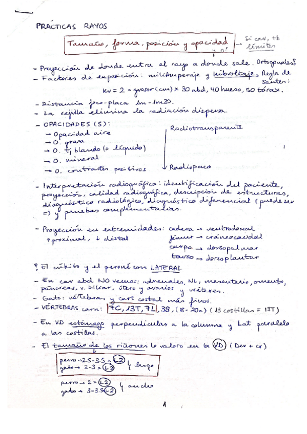 Miniatura del documento Practico-Diagnostico-por-imagen.pdf