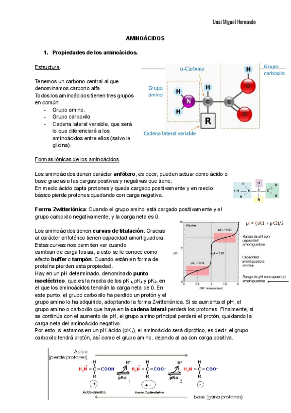Miniatura del documento 1. Aminoácidos.