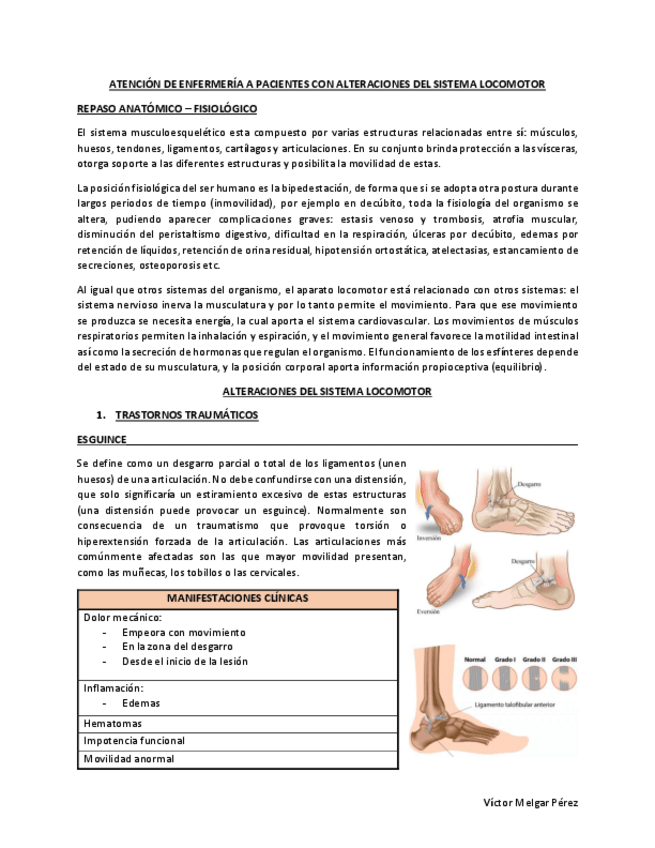 Miniatura del documento LocomotorMQ3.pdf