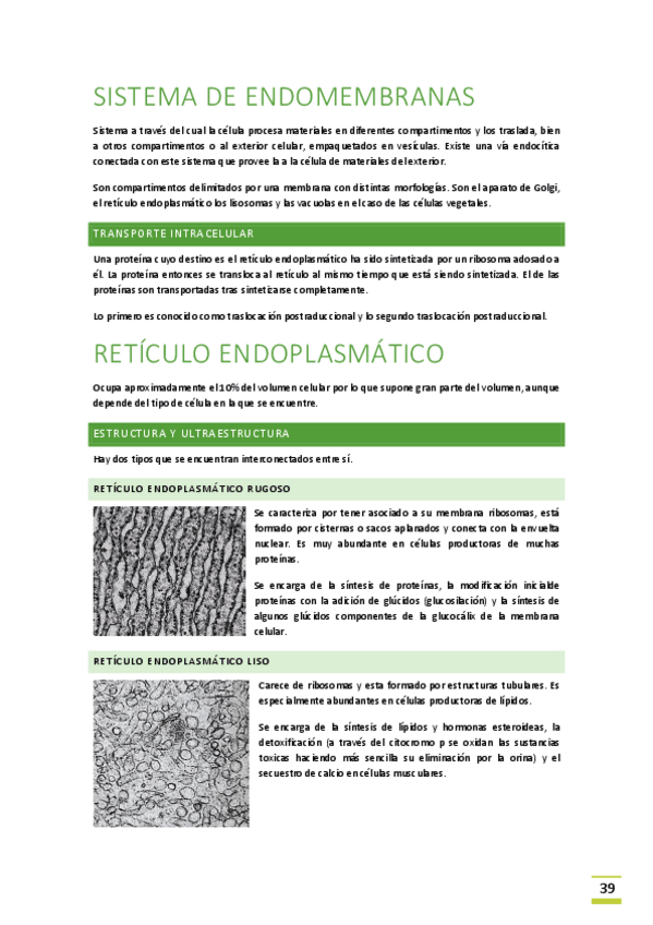 Miniatura del documento Tema-6-Sistema-de-endomembranas.pdf