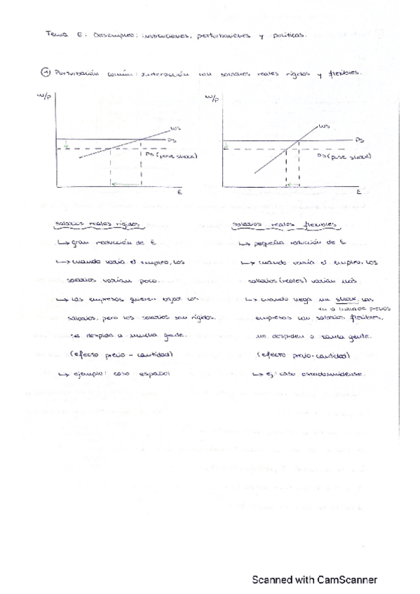 Miniatura del documento CamScanner-05-18-2022-16.pdf
