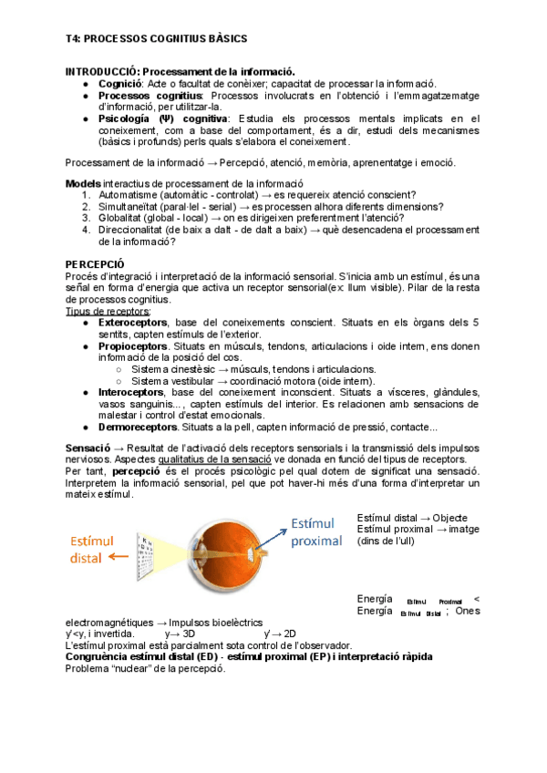 Miniatura del documento T4-PROCESSOS-COGNITIUS-BASICS.pdf