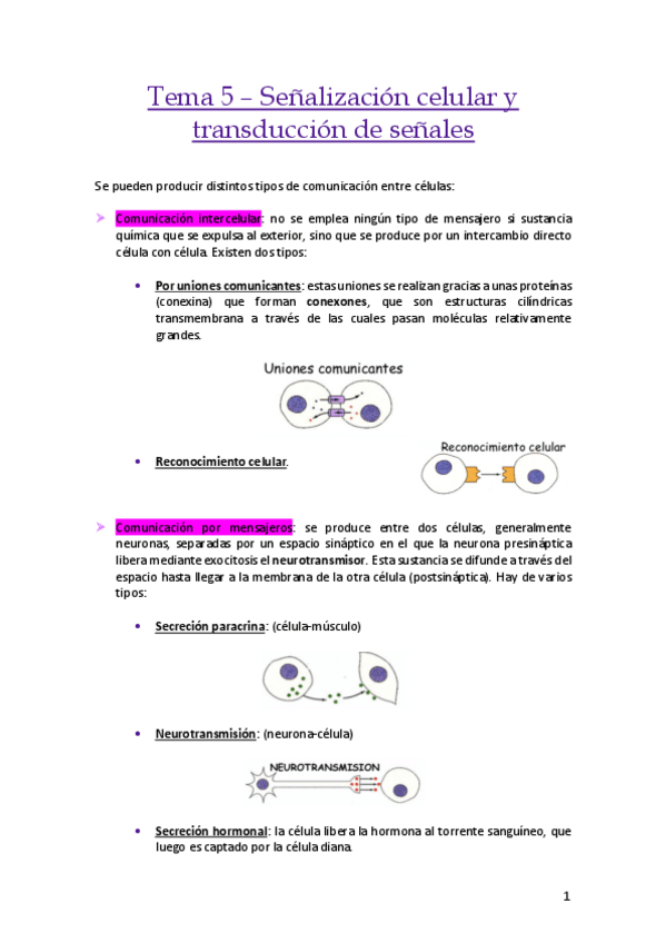 Miniatura del documento Tema-5-Senalizacion-celular-y-transduccion-de-senales.pdf