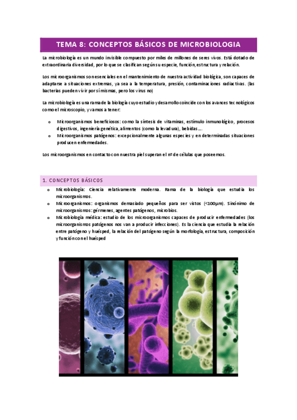 Miniatura del documento PARTE-MICRO.pdf