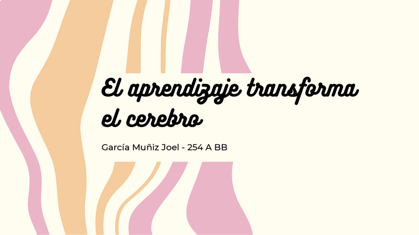 Miniatura del documento Aprendizaje-y-cerebro.pdf