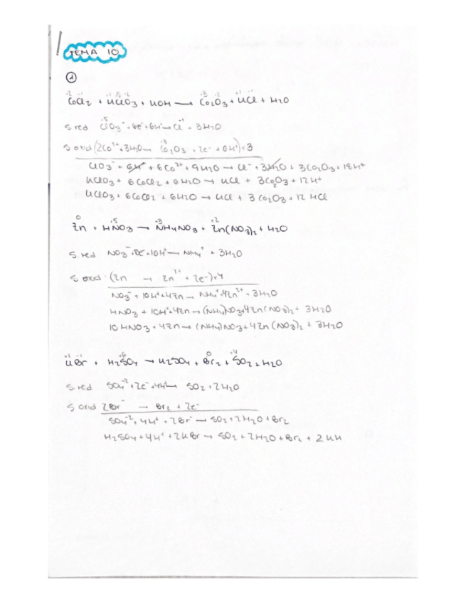 Miniatura del documento Acts-T10.pdf