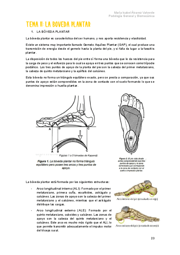 Miniatura del documento T11-La-boveda-plantar.pdf