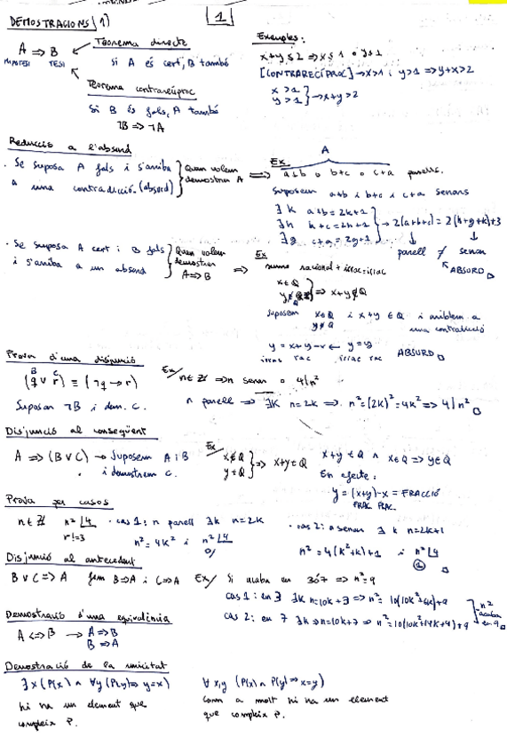 Miniatura del documento resum.pdf