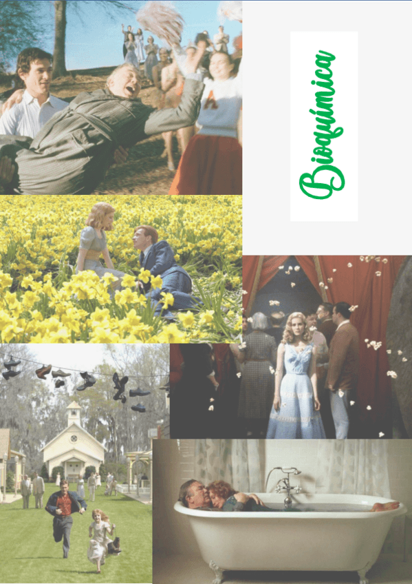 Miniatura del documento Todo BQ en un documento.pdf