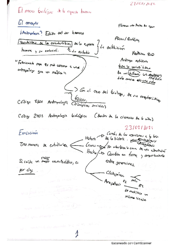 Miniatura del documento Antropo-Iruita.pdf