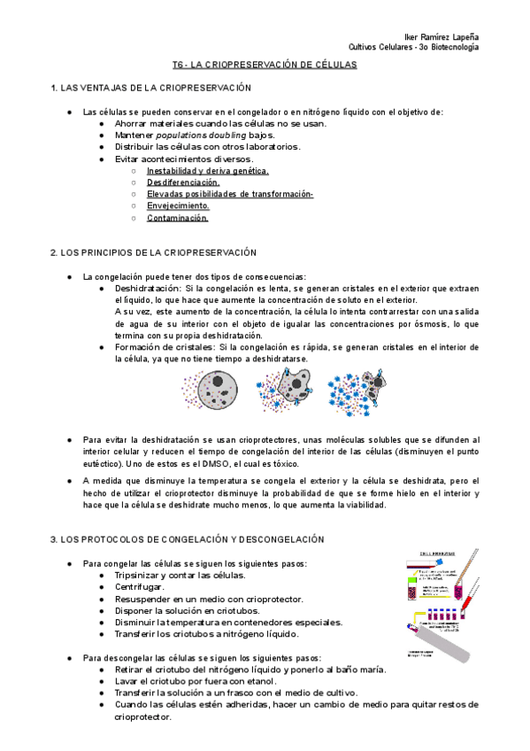 Miniatura del documento T6-CC-La-Criopreservacion-de-Celulas.pdf