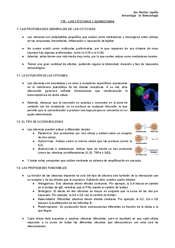 Miniatura del documento T15-IMM-Las-Citocinas-y-Quimiocinas.pdf