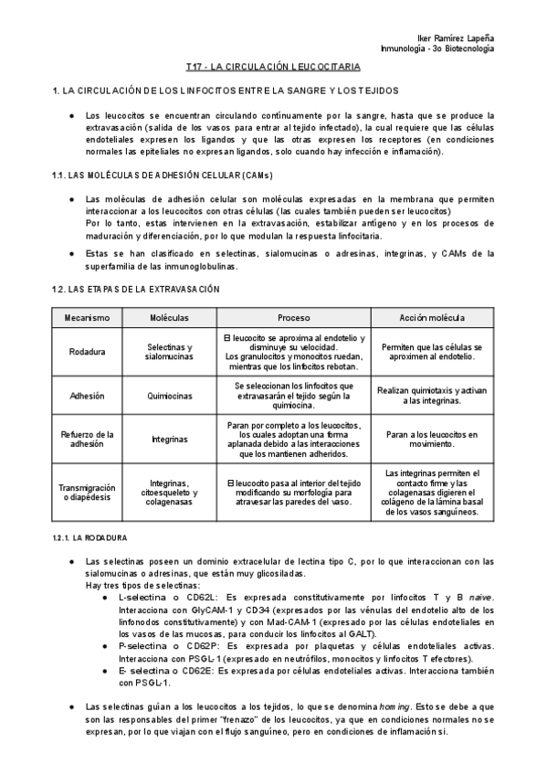 Miniatura del documento T17-IMM-La-Circulacion-Leucocitaria.pdf