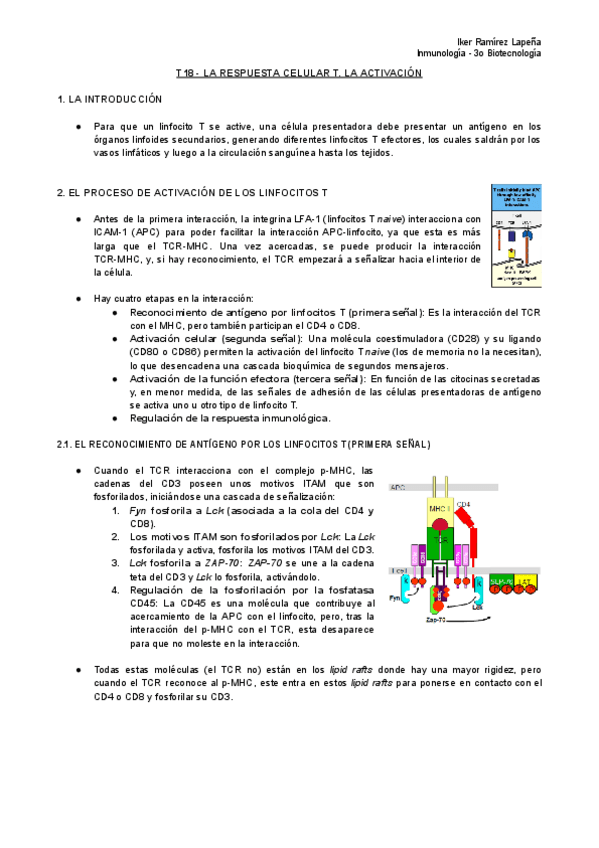 Miniatura del documento T18-IMM-La-Respuesta-Celular-T.pdf