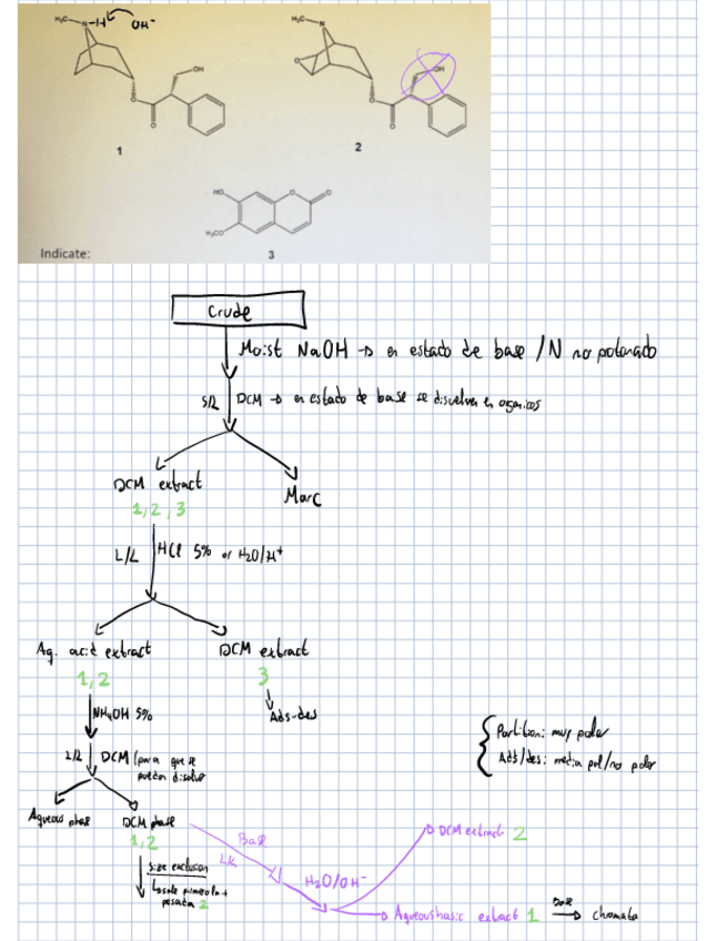 Miniatura del documento extracciones.pdf