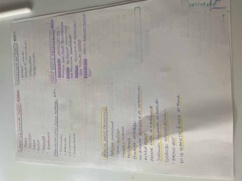 Miniatura del documento 80A7F950-EB56-4826-96FA-37BE2B2D1627.jpg