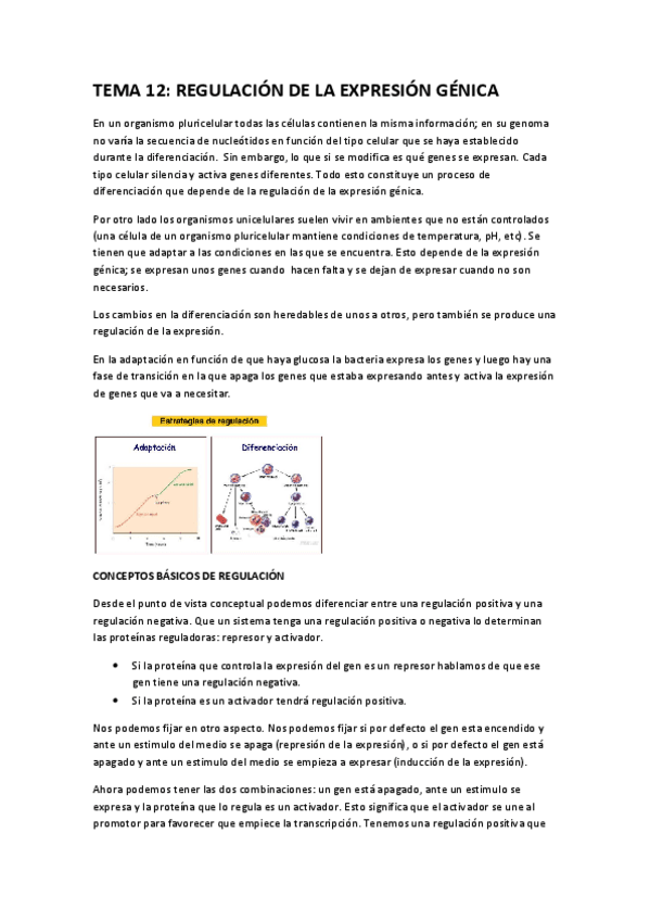 Miniatura del documento TEMA-12.pdf