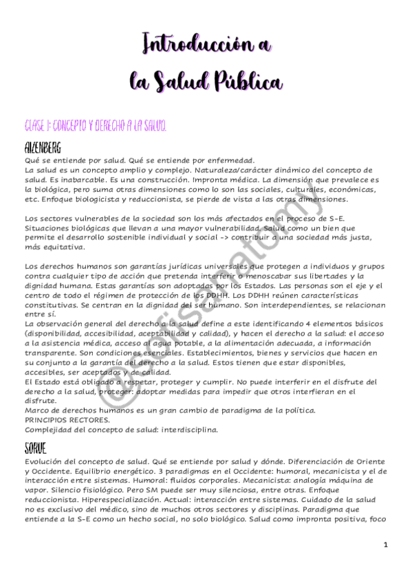 Miniatura del documento Resumen-Clases-ISP-sofisanatomy.pdf