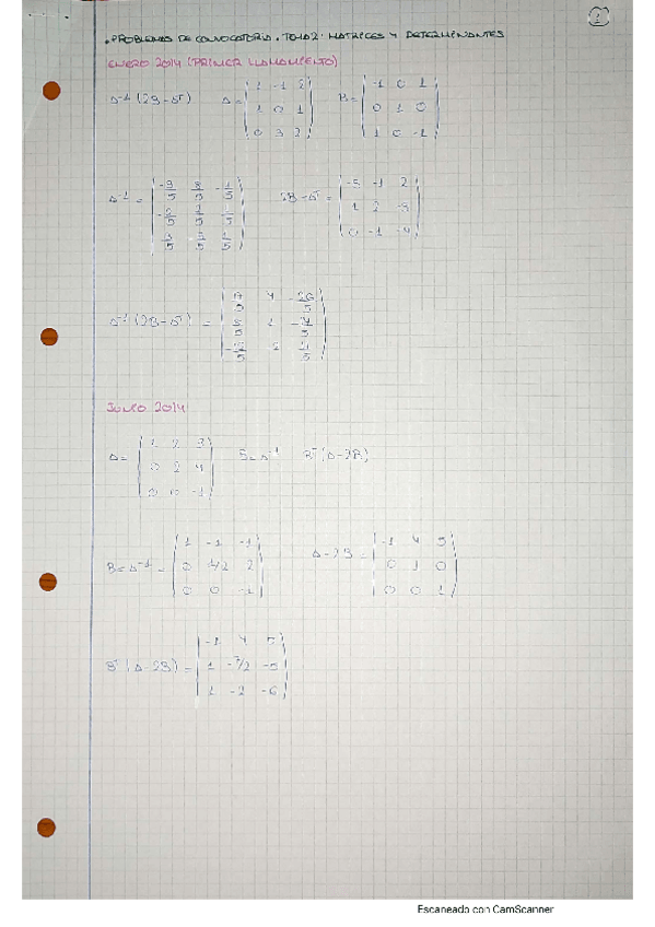 Miniatura del documento PROBLEMAS-CONVOCATORIA-PARTE-1.pdf