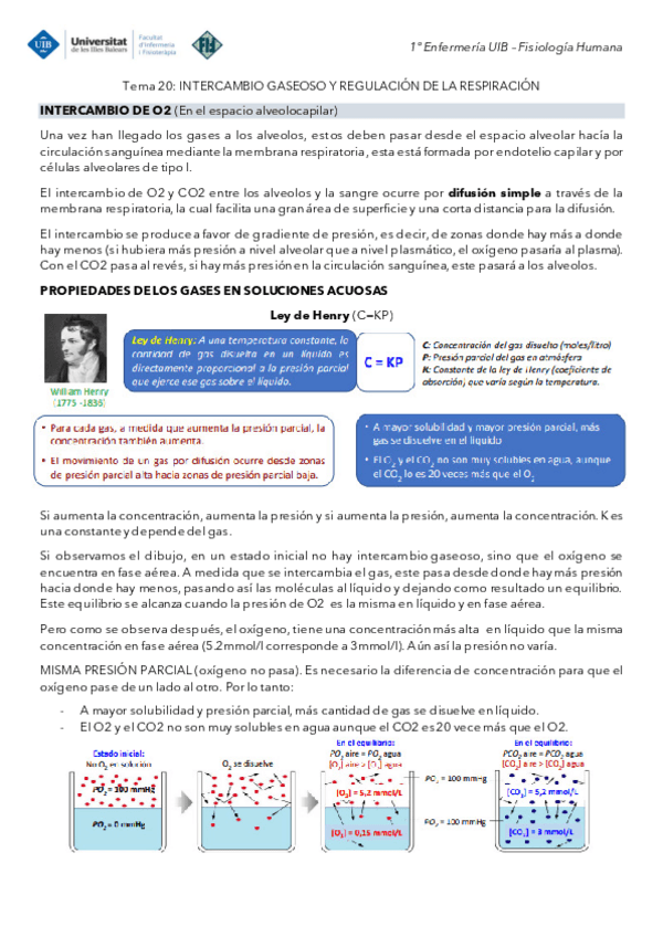 Miniatura del documento Tema-20-Fisiologia-Intercambio-gaseosos-y-regulacion-de-la-respiracion.pdf