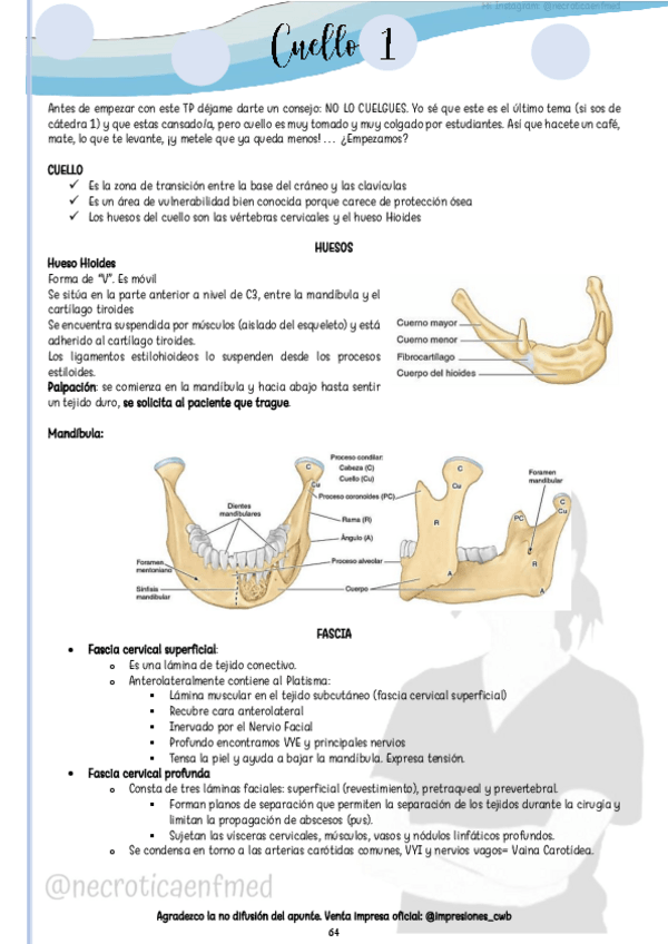 Miniatura del documento Cuello I