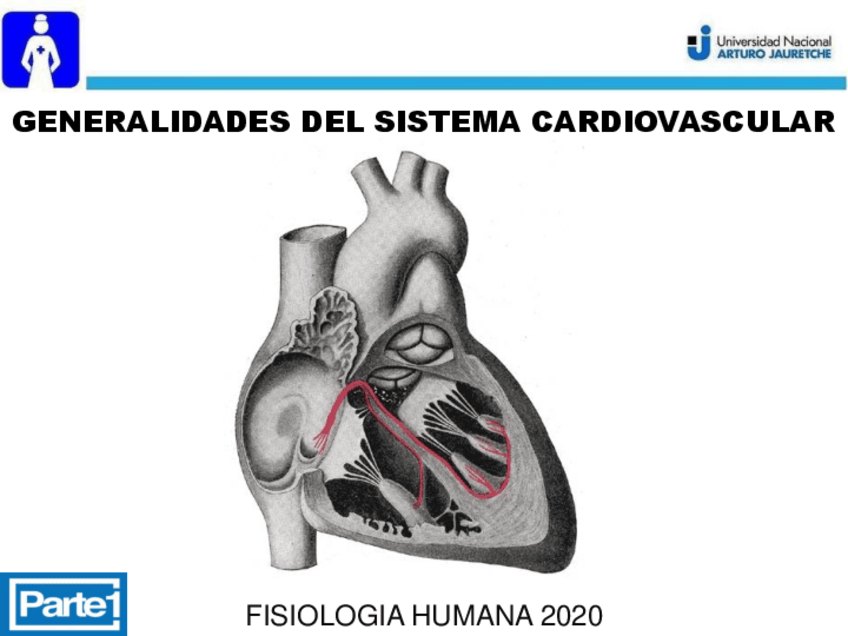 Miniatura del documento MATERIAL-COMPLEMENTARIO.pdf