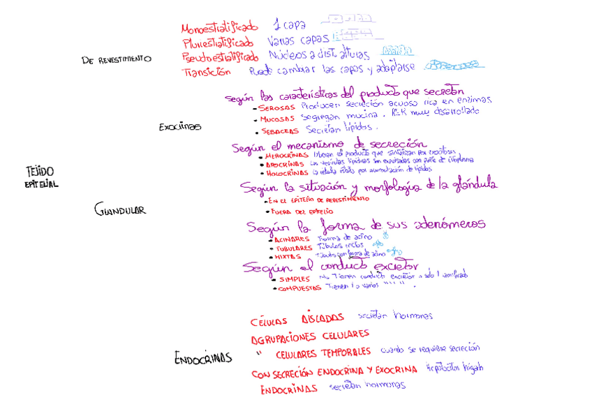 Miniatura del documento tejidos.pdf