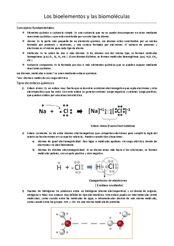 Miniatura del documento Los-bioelementos-y-las-biomoleculas.pdf