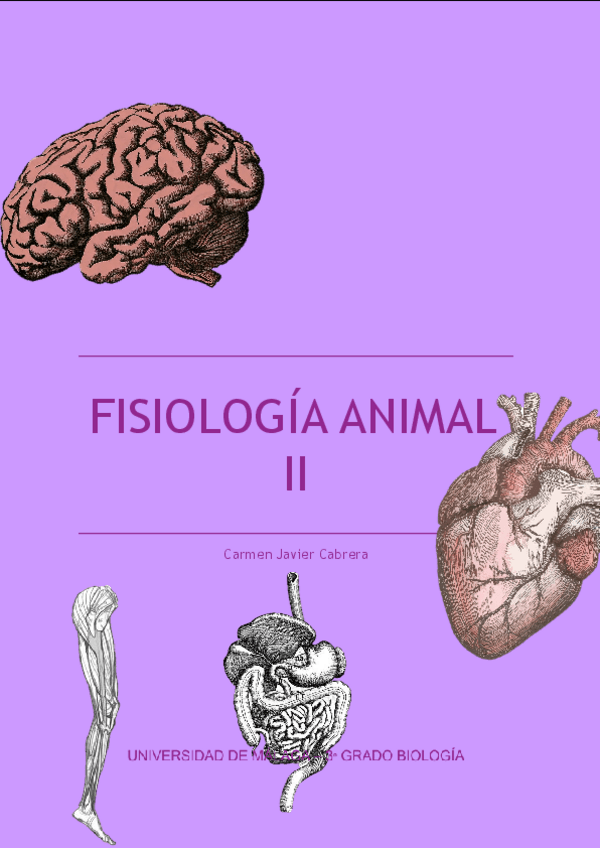 Miniatura del documento Copia-de-FA-II-2.pdf