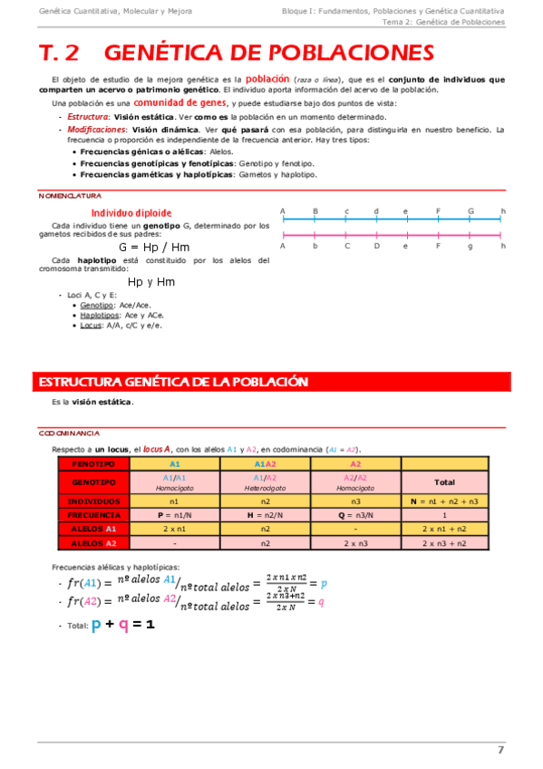 Miniatura del documento Mejora genética- Tema 2 Genética de Poblaciones.pdf