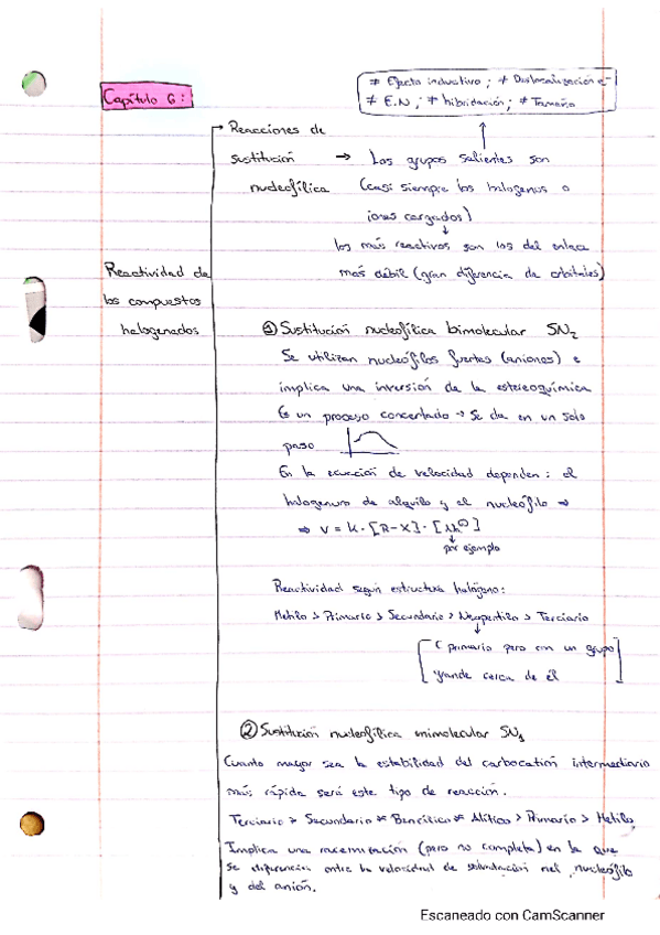 Miniatura del documento Tema-6-Org.pdf