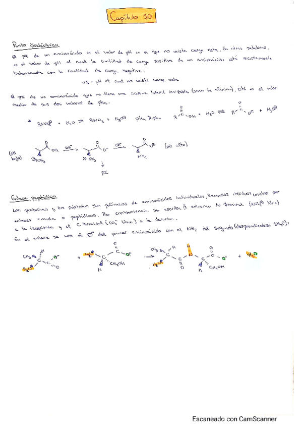 Miniatura del documento Tema-10-Org.pdf