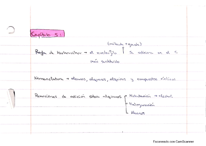 Miniatura del documento Tema-5-Org.pdf