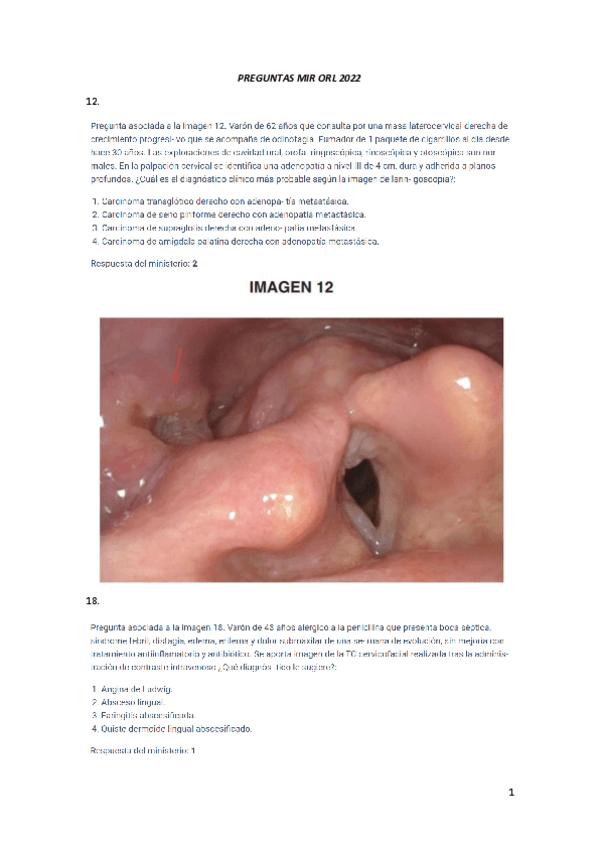 Miniatura del documento PREGUNTAS-MIR-ORL-2022.pdf