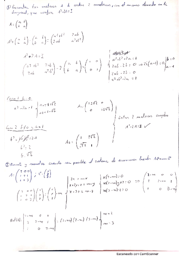Miniatura del documento Resolucion-Junio-2022.pdf