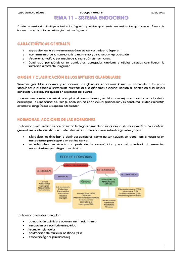 Miniatura del documento Tema-11-Sistema-endocrino.pdf