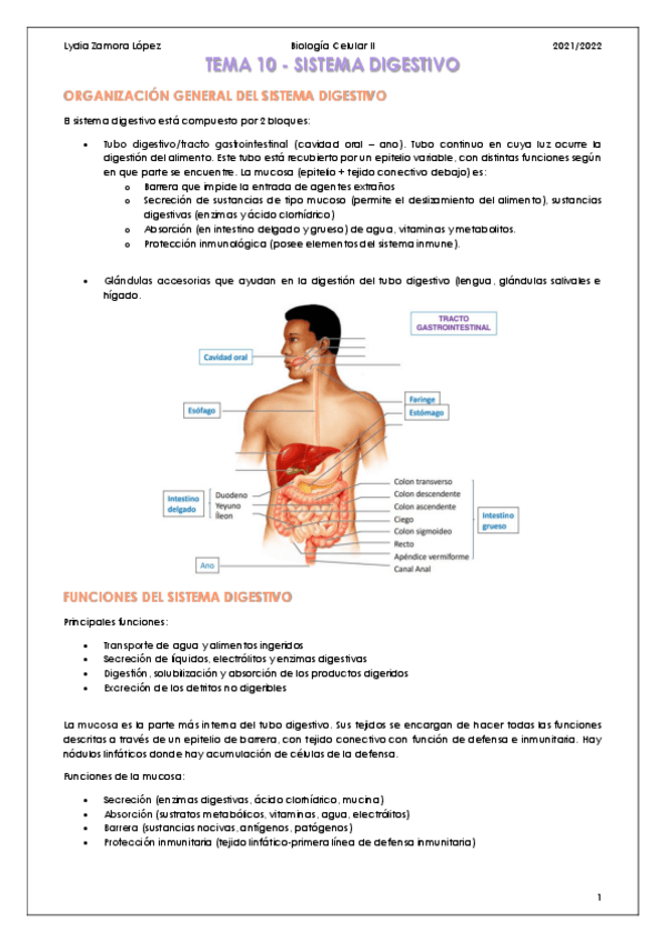 Miniatura del documento Tema-10-Sistema-digestivo.pdf