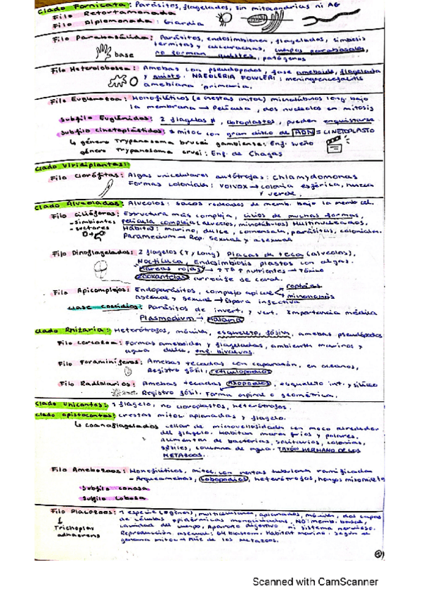 Miniatura del documento Resumen-invertebrados.pdf
