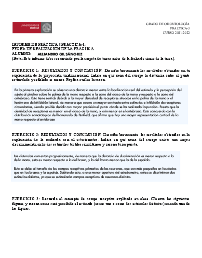 Miniatura del documento INFORME-PRACTICA-3.pdf