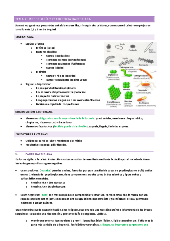 Miniatura del documento T2-MH.pdf