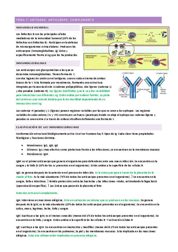 Miniatura del documento T7-MH.pdf