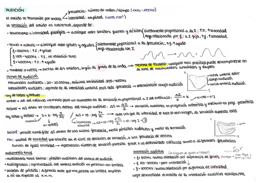 Miniatura del documento tarjetas-magicas-FISIO-III.pdf